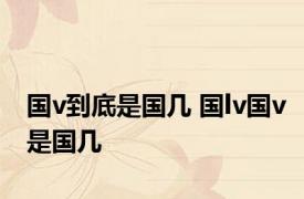 国v到底是国几 国lv国v是国几