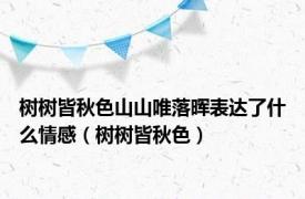 树树皆秋色山山唯落晖表达了什么情感（树树皆秋色）