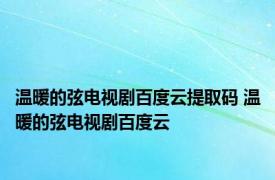 温暖的弦电视剧百度云提取码 温暖的弦电视剧百度云 