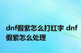 dnf假紫怎么打红字 dnf假紫怎么处理