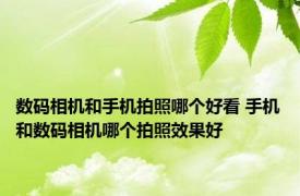 数码相机和手机拍照哪个好看 手机和数码相机哪个拍照效果好 