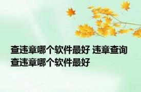 查违章哪个软件最好 违章查询 查违章哪个软件最好 