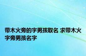 带木火旁的字男孩取名 求带木火字旁男孩名字 