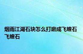 烟雨江湖石块怎么打磨成飞蝗石 飞蝗石 