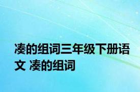 凑的组词三年级下册语文 凑的组词 