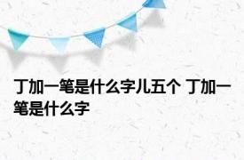 丁加一笔是什么字儿五个 丁加一笔是什么字 