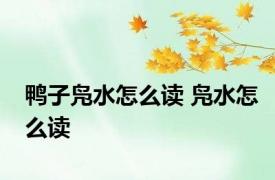 鸭子凫水怎么读 凫水怎么读 