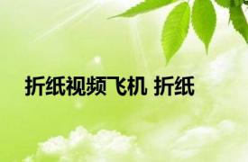 折纸视频飞机 折纸 