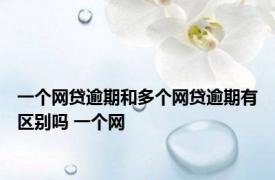 一个网贷逾期和多个网贷逾期有区别吗 一个网 
