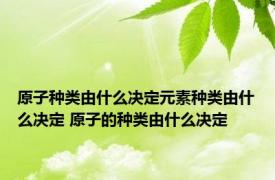 原子种类由什么决定元素种类由什么决定 原子的种类由什么决定 