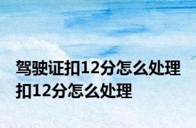 驾驶证扣12分怎么处理 扣12分怎么处理