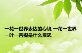 一花一世界表达的心境 一花一世界一叶一菩提是什么意思