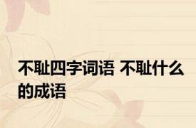 不耻四字词语 不耻什么的成语