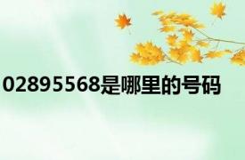 02895568是哪里的号码