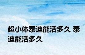 超小体泰迪能活多久 泰迪能活多久 