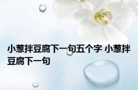 小葱拌豆腐下一句五个字 小葱拌豆腐下一句 