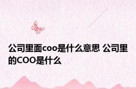 公司里面coo是什么意思 公司里的COO是什么
