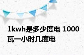 1kwh是多少度电 1000瓦一小时几度电