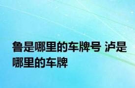 鲁是哪里的车牌号 泸是哪里的车牌 