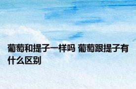 葡萄和提子一样吗 葡萄跟提子有什么区别 