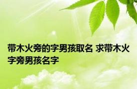 带木火旁的字男孩取名 求带木火字旁男孩名字 