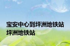 宝安中心到坪洲地铁站 坪洲地铁站 