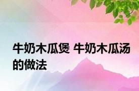 牛奶木瓜煲 牛奶木瓜汤的做法