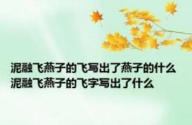 泥融飞燕子的飞写出了燕子的什么 泥融飞燕子的飞字写出了什么