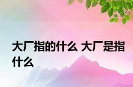 大厂指的什么 大厂是指什么