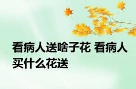 看病人送啥子花 看病人买什么花送