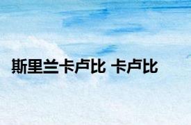 斯里兰卡卢比 卡卢比 