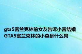 gta5富兰克林前女友告诉小富结婚 GTA5富兰克林的小查是什么狗