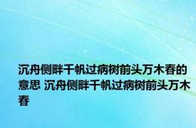 沉舟侧畔千帆过病树前头万木春的意思 沉舟侧畔千帆过病树前头万木春 