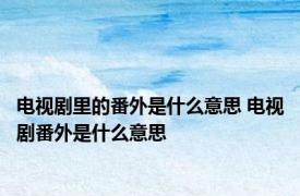 电视剧里的番外是什么意思 电视剧番外是什么意思 