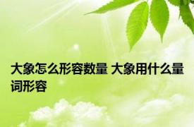 大象怎么形容数量 大象用什么量词形容 