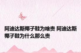 阿迪达斯椰子鞋为啥贵 阿迪达斯椰子鞋为什么那么贵