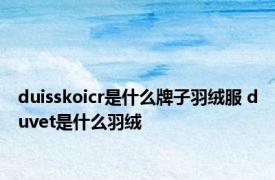 duisskoicr是什么牌子羽绒服 duvet是什么羽绒