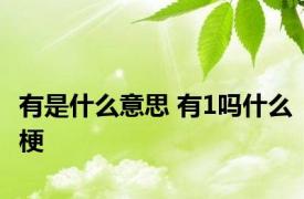 有是什么意思 有1吗什么梗