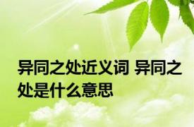 异同之处近义词 异同之处是什么意思