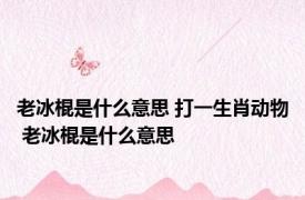 老冰棍是什么意思 打一生肖动物 老冰棍是什么意思