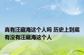 真有汪藏海这个人吗 历史上到底有没有汪藏海这个人