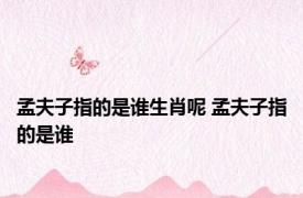 孟夫子指的是谁生肖呢 孟夫子指的是谁 