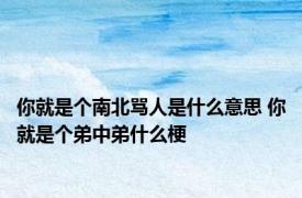 你就是个南北骂人是什么意思 你就是个弟中弟什么梗