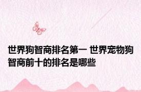 世界狗智商排名第一 世界宠物狗智商前十的排名是哪些