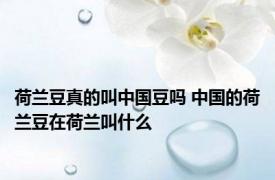 荷兰豆真的叫中国豆吗 中国的荷兰豆在荷兰叫什么