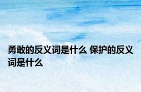 勇敢的反义词是什么 保护的反义词是什么