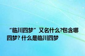 “临川四梦”又名什么?包含哪四梦? 什么是临川四梦