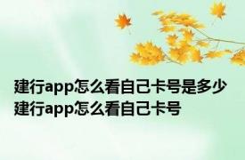 建行app怎么看自己卡号是多少 建行app怎么看自己卡号