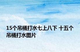 15个吊桶打水七上八下 十五个吊桶打水图片 