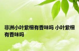 非洲小叶紫檀有香味吗 小叶紫檀有香味吗